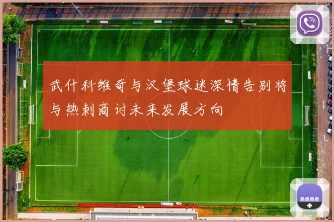 武什科维奇与汉堡球迷深情告别将与热刺商讨未来发展方向