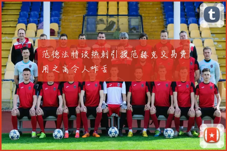 范德法特谈热刺引援范赫克交易费用之高令人咋舌